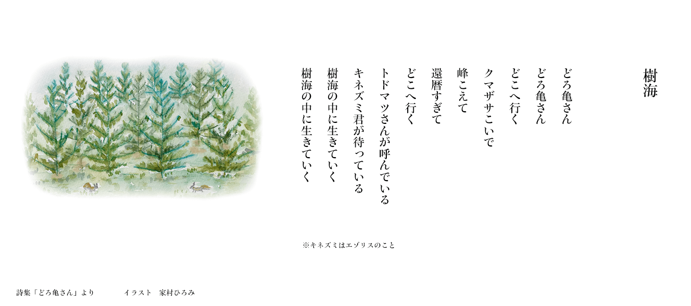 【樹海】詩集「どろ亀さん I」より　　イラスト：家村ひろみ
