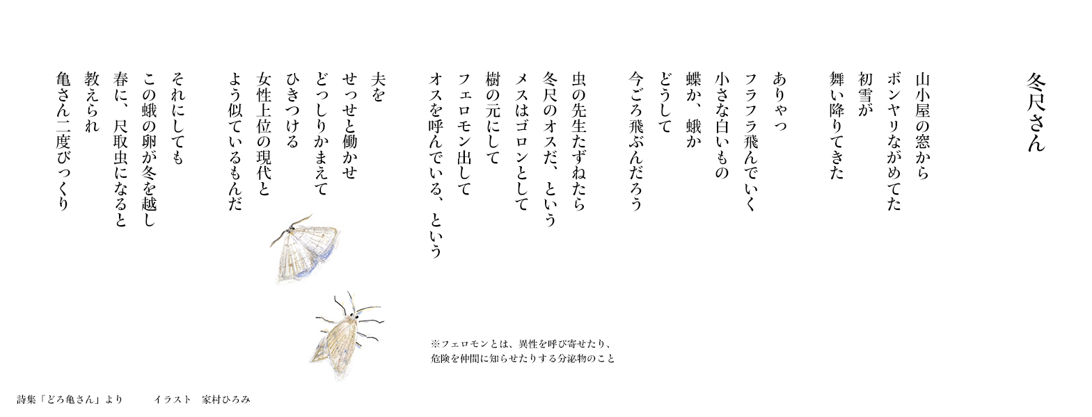 【冬尺さん】詩集「どろ亀さん I」より　　イラスト：家村ひろみ