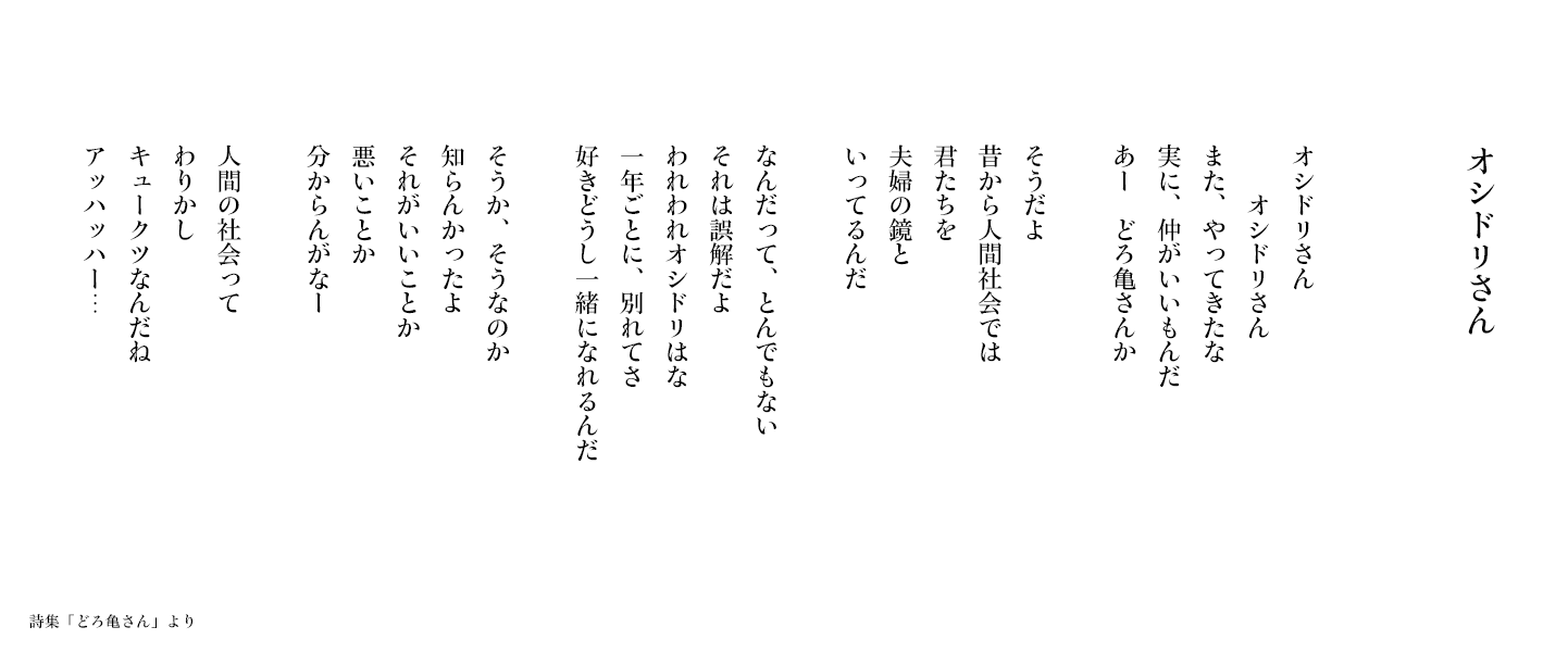 【オシドリさん】詩集「どろ亀さん I」より
