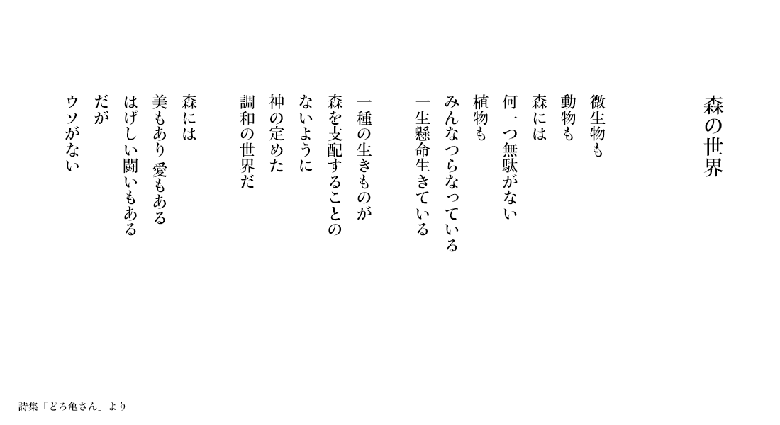 【森の世界】詩集「どろ亀さん II」より