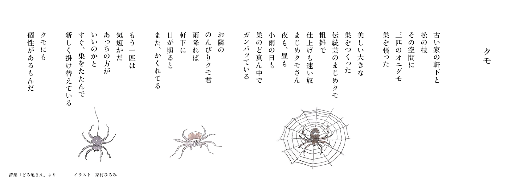 【クモ】詩集「どろ亀さん III」より