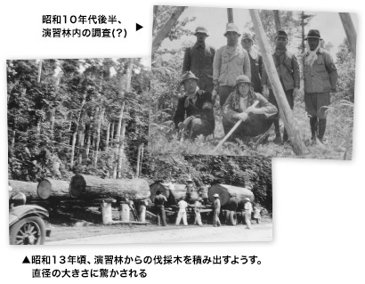 （右上）昭和１０年代後半、演習林内の調査(？)（左下）昭和１３年頃、演習林からの伐採木を積み出すようす。直径の大きさに驚かされる